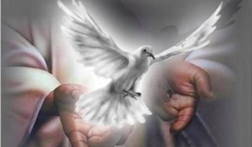 Obituario de David Vidal Delgado