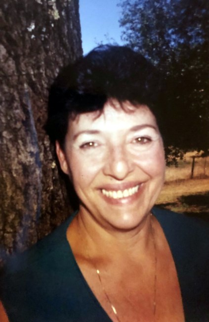 Obituary of Diane Marie Teehan