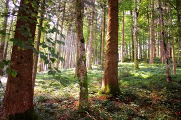 Obituary of Paul M. Peters