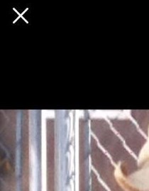 James Rector Obituary - Oklahoma City, OK