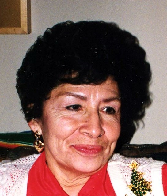 Regina Lopez Obituary Oak Lawn IL