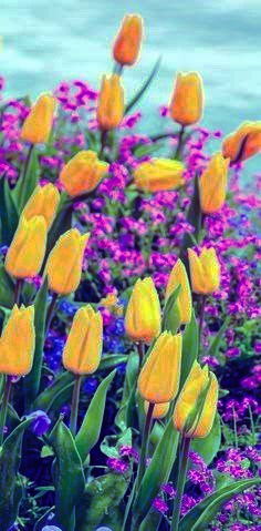 Obituary of Patricia Marie McGraw