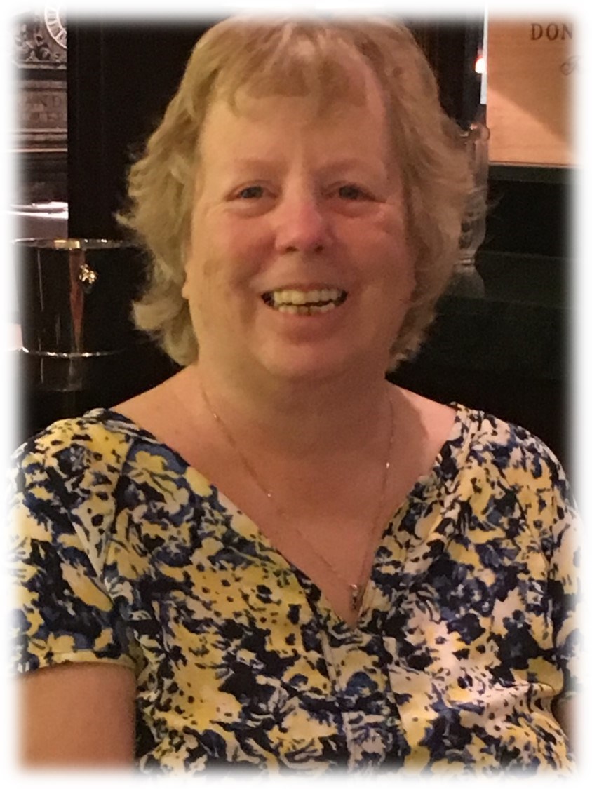 Obituary of Terri Lyn Blomquist