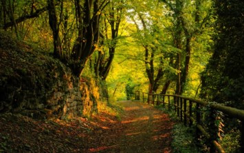 Obituary of Henry John Assian Groeneveld