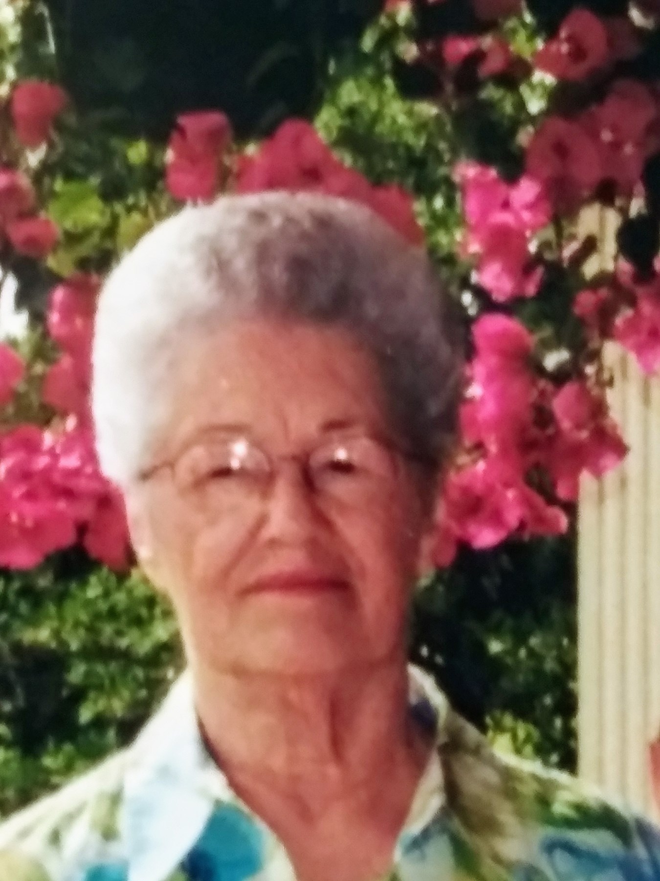 Anna Carroll Obituary - Pulaski, TN