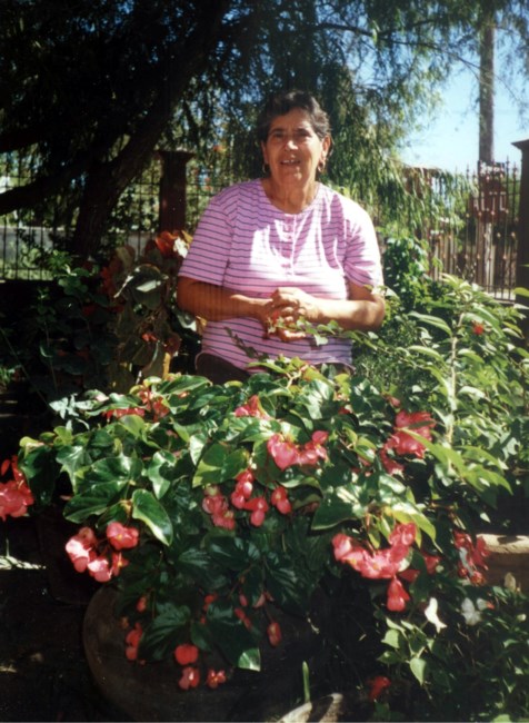 Obituario de Elidia Gonzalez de Ochoa