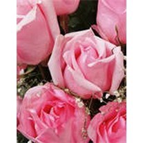 Obituary of Marie Ann Kelly