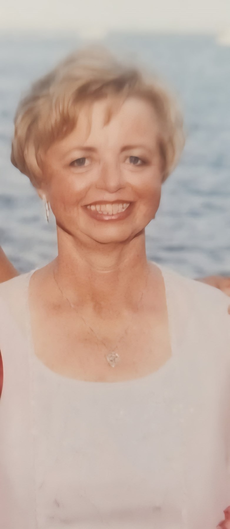 Obituary of Joann Catherine Dispigno