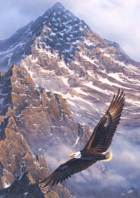 Obituary of Allan Blayne Ingle, Sr.