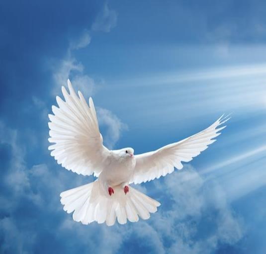 Obituary of Jose Fernando Perez Molina