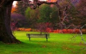 Obituario de Jung Soon Emery