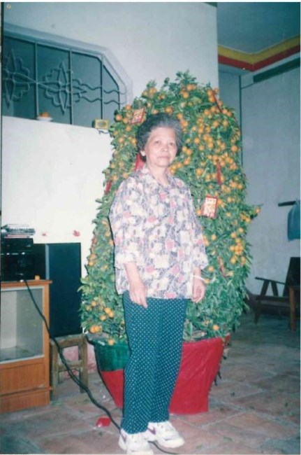 Obituary of Mei Rong Huang