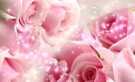 Obituary of Dorothy R Henry