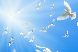 Obituary of Shirley Martin