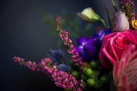 Obituary of John Anthony Figueiredo