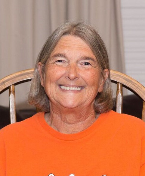 Obituary of Carolyn Sue Summers Stocksick