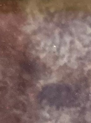 Robert Larrick Obituary - Clayton, NC