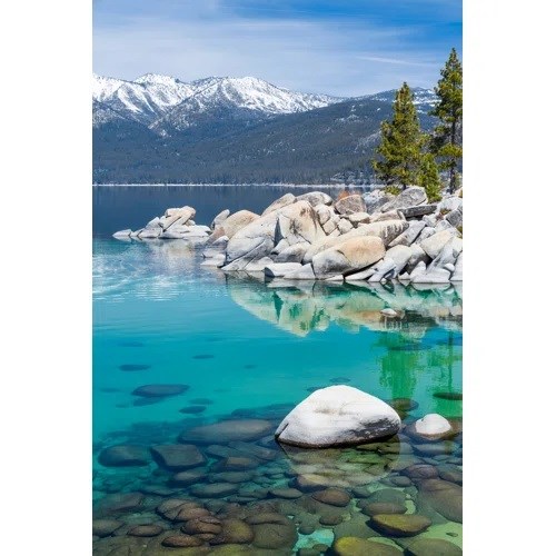 Obituary of Joe Muro