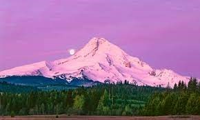 Obituary of Joseph Morrow