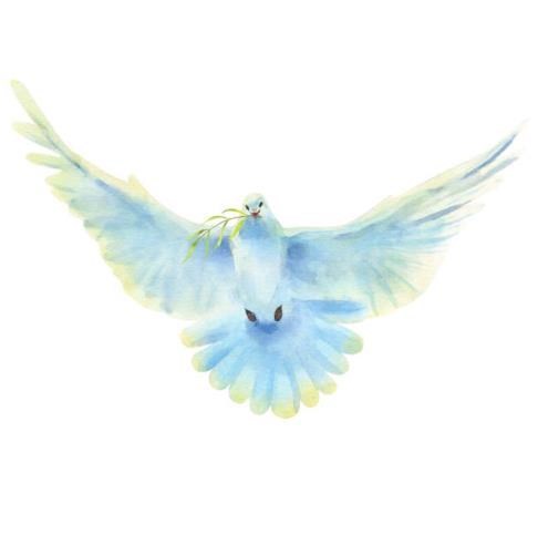 Obituary of Linda Carol Johnson
