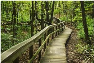 Obituary of David Long Thao