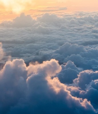 Obituary of Jeanine Sneyd