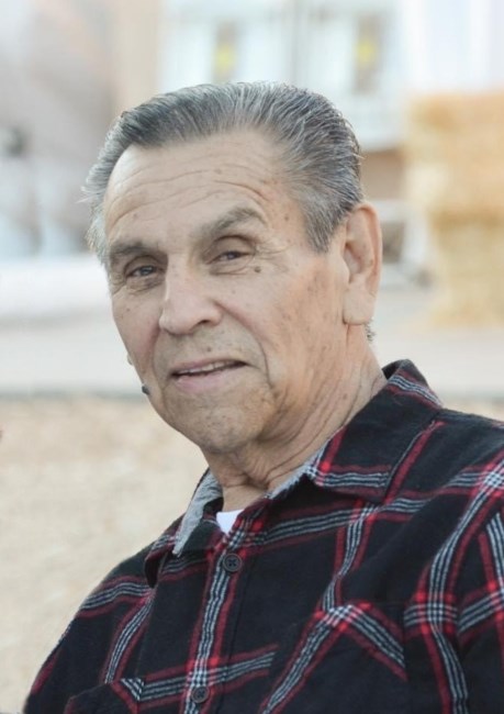 Obituary of Domingo "Ray" Gonzales