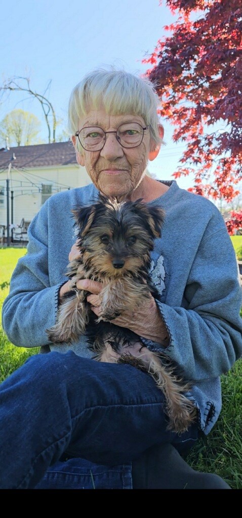 Obituary of Pamela K. Wolfe