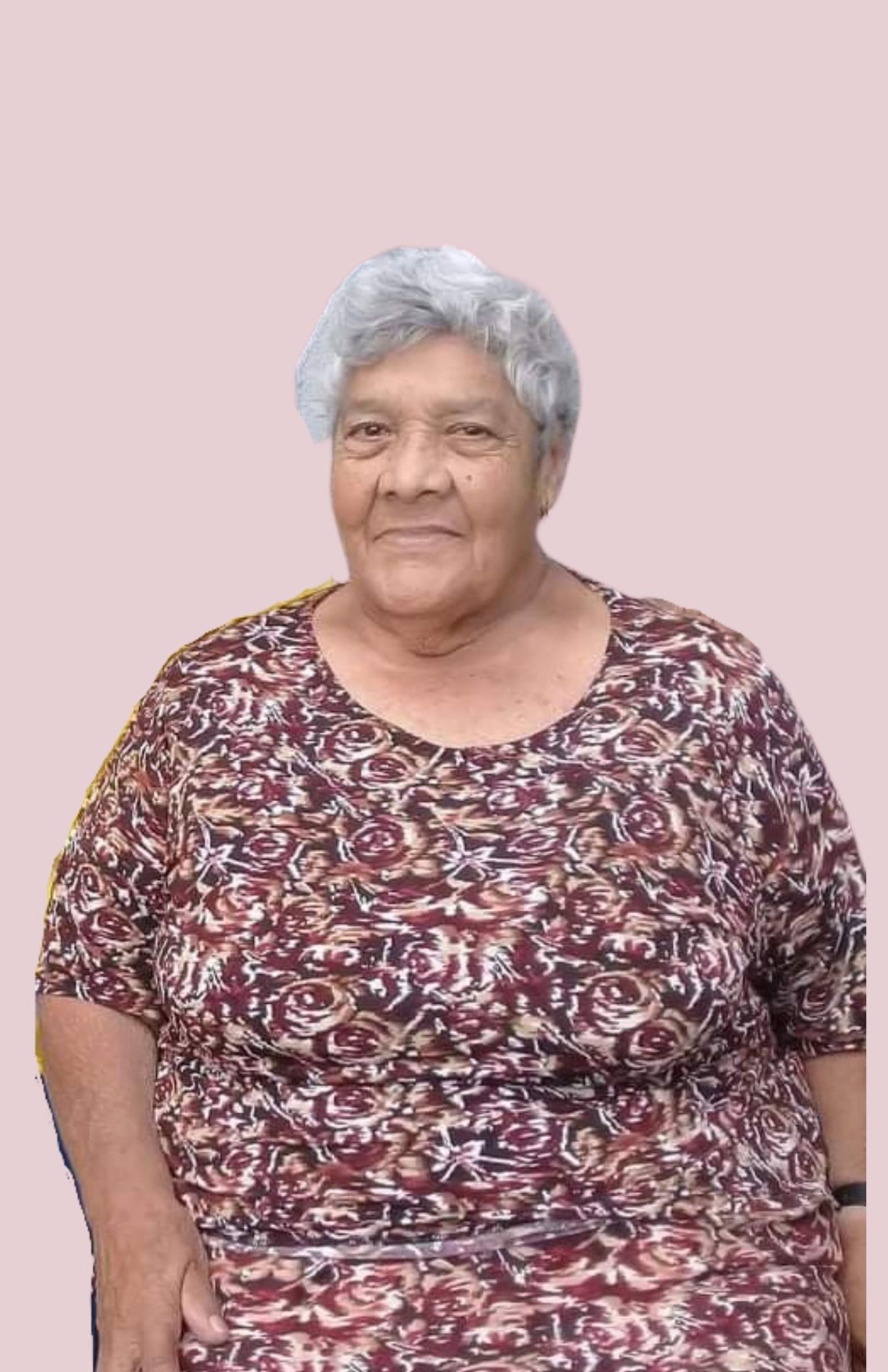 Obituary of Anastacia Castillo