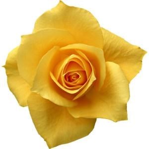 Obituary of Rebecca B Cooper