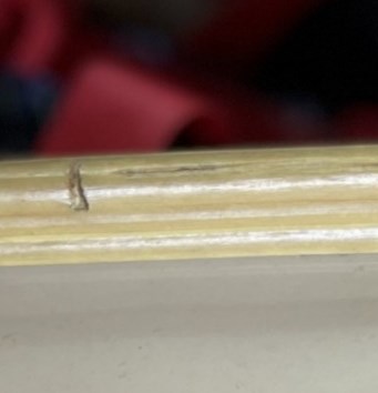 willie davila corpus christi tx