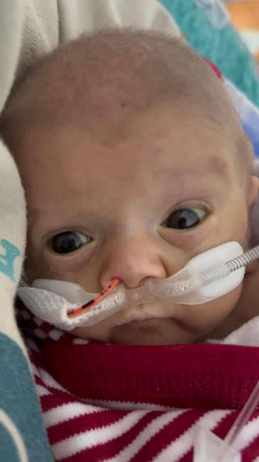 Obituary of Hudson Lee Hollon