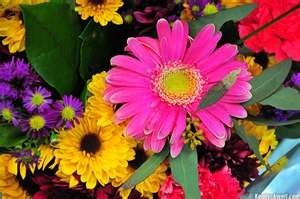 Obituary of Claire T Krug