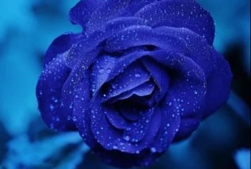 Obituary of John Malone