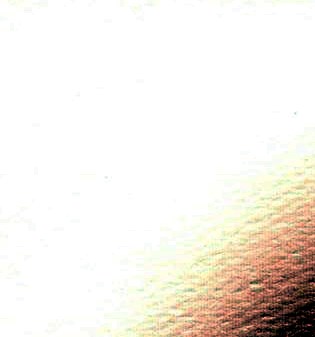 Marjorie Rothstein Obituary - Jacksonville, FL