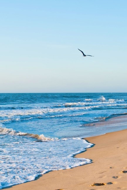 Obituario de Chu Kin Yip 葉柱堅