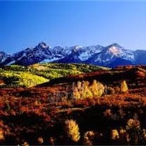 Obituary of Carolyn Fern Covington