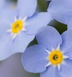 Obituary of Eva Jean Thompson