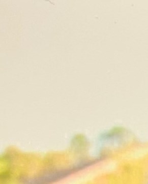 Ira H. Dinerman Obituary Palm Beach Gardens, FL