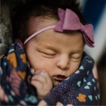 Obituary of Taya Josephine Hunter