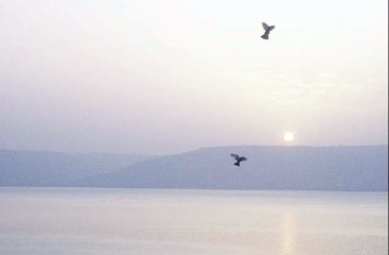 Obituary of Thomas Lee "Tommy" Jacobs