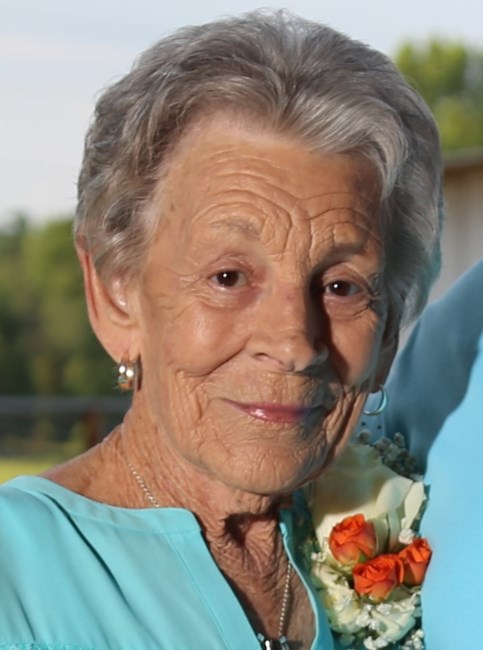 Obituary of Jo Ann Holman