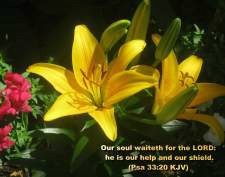 Obituary of Ray E. Crawford