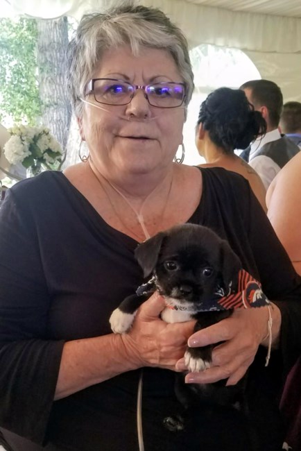 Obituary of Patty Joan Hasty