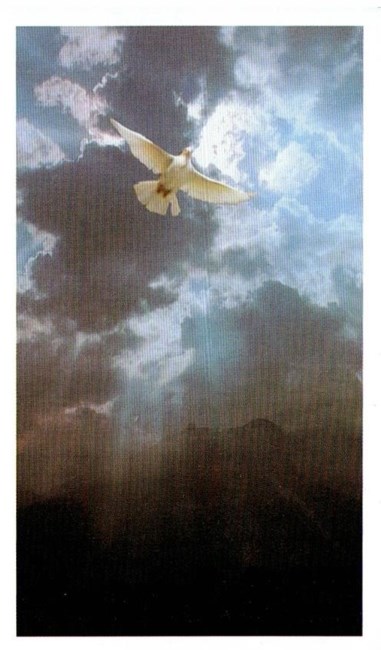 Obituary of Juan M Lezcano