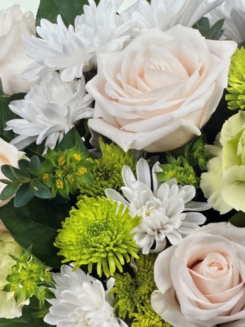 Obituary of Thomas Craig Taylor Sr.