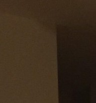 Killian Murphy Obituary - Oviedo, FL