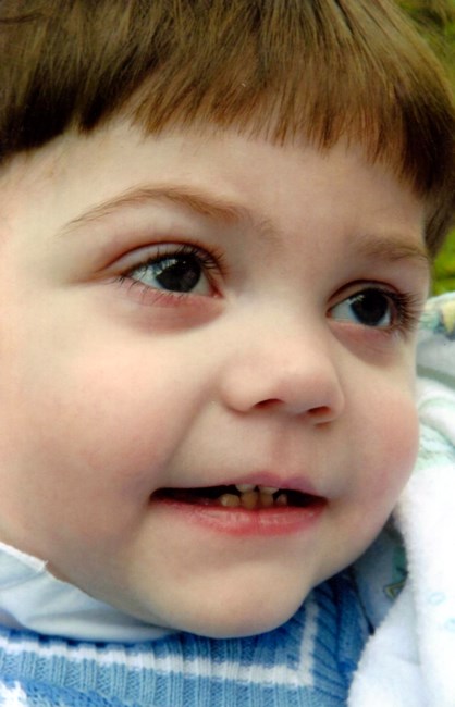 Blade Brewer Obituary Lawrenceburg Tn