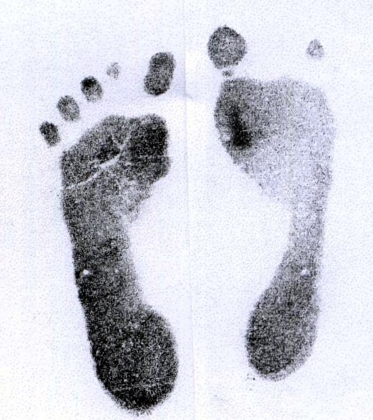 Obituary of Lily Sophia Lynn Cook