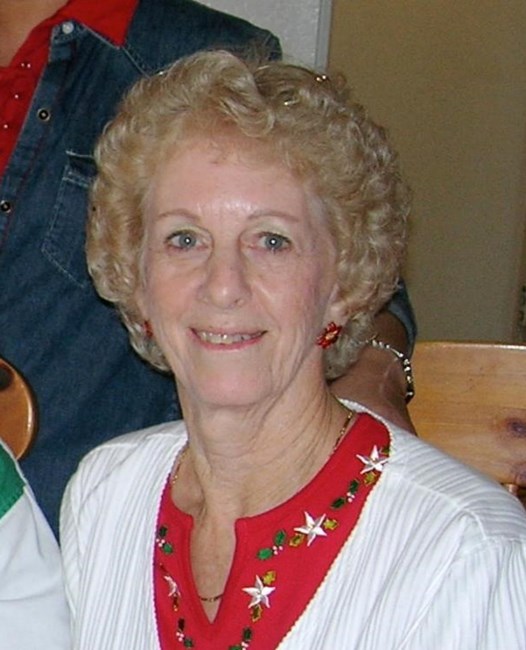 Obituary of Judith "Judi" Diane Custer